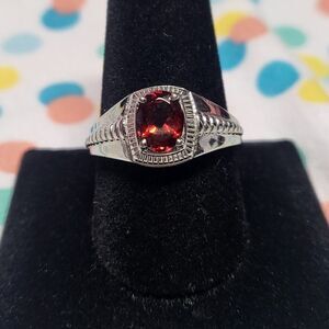 Mozambique Garnet Men's Stainless Steel Ring